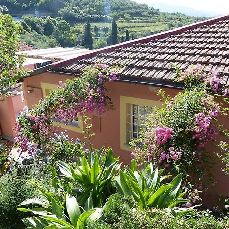 Belvedere Lodge Кьявари Экстерьер фото